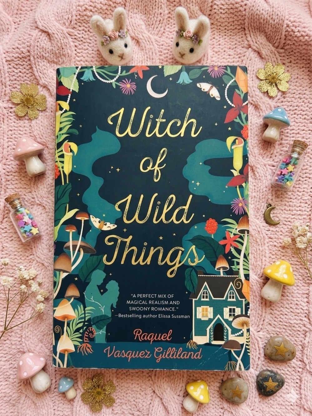 Witch of Wild Things by Raquel Vasquez Gilliland - Paperback